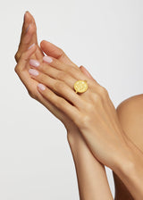 18kt Gold Nila Swivel Ring