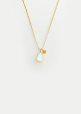 18kt Gold Rainbow Moonstone & Anemone Amulets on Cord