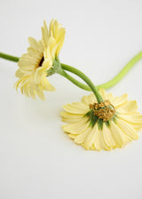 18kt Gold Flower Cluster Ring