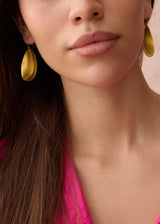 22kt Gold Midas Shell Earrings