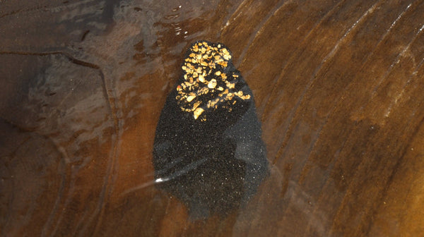 Pippa's Gold Origin Story