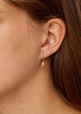 18kt Gold Seed Earrings