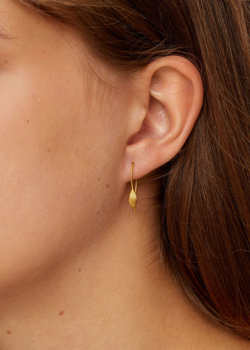 18kt Gold Seed Earrings