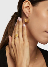 18kt Gold Bethlehem Zaytun Leaf Ring