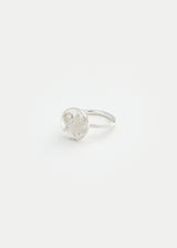 Sterling Silver Next Generation Small Disk Fig Ring Product Image 1