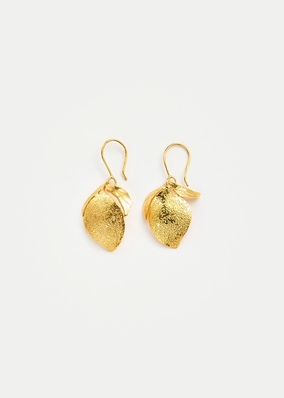 18kt Gold Vermeil Next Generation Zakia Earrings